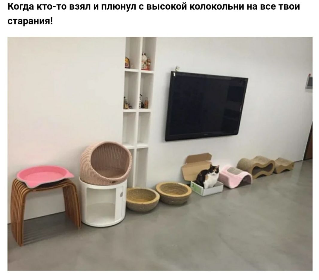 Когда кто то взял и плюнул с высокой колокольни на все твои старания