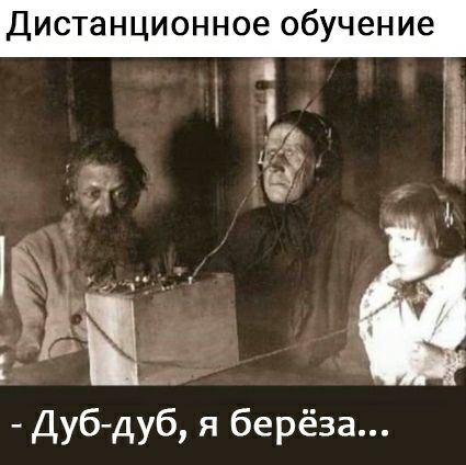 Дистанционное обучение Дуб дуб я берёза