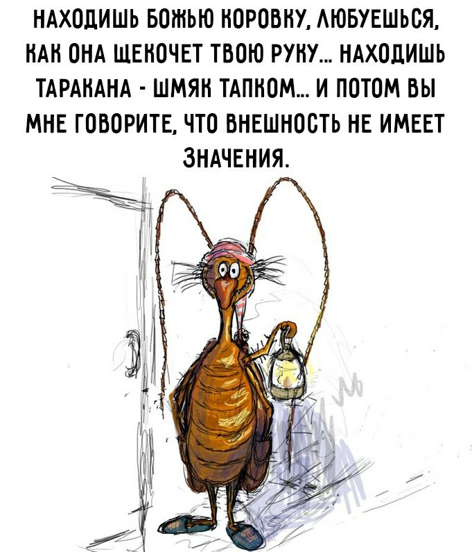 НАХОЦИШЬ БОНіЫО НОРОВНУ АЮБУЕШЬОЯ НАН ОНА ШЕНОЧЕТ ТВОЮ РУНУ НАХОЦИШЬ ТАРАНАНА ШМЯН ТАПНОМ И ПОТОМ ВЫ МНЕ ГОВОРИТЕ ЧТО ВНЕШНООТЬ НЕ ИМЕЕТ ЗНАЧЕНИЯ