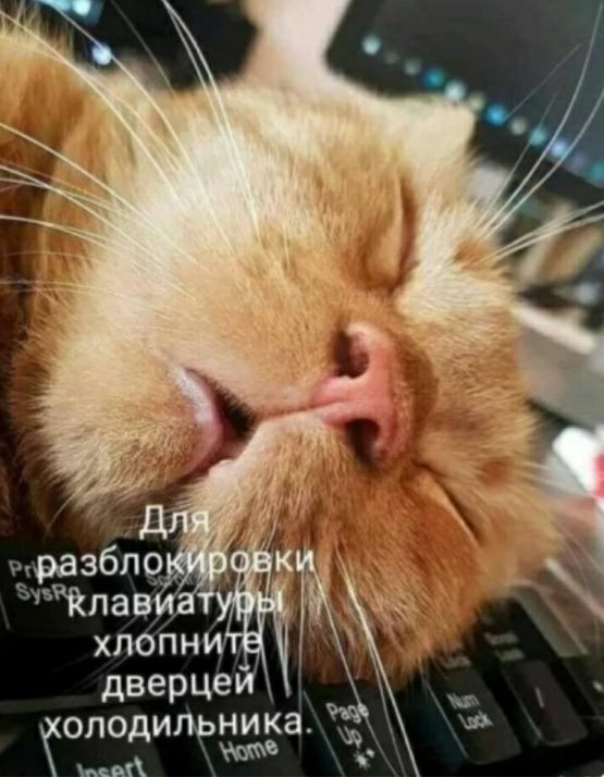 дверцейх ОЛОДИЛЬНИКЭ _ 1