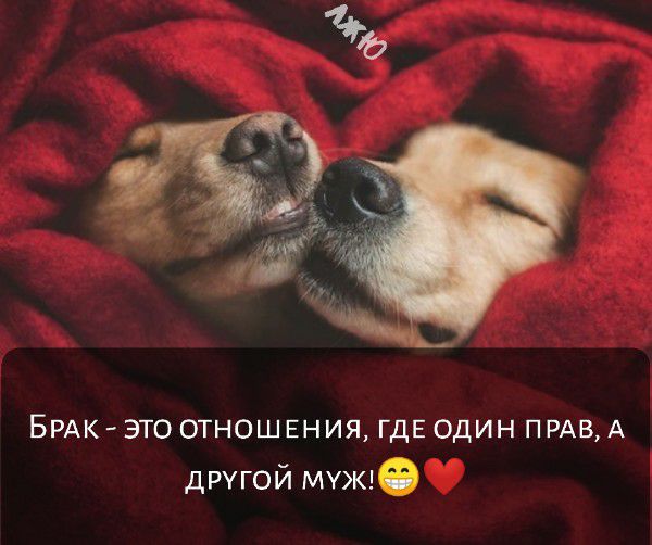 БРАК это отношения ГДЕ один прдв А другой мук1