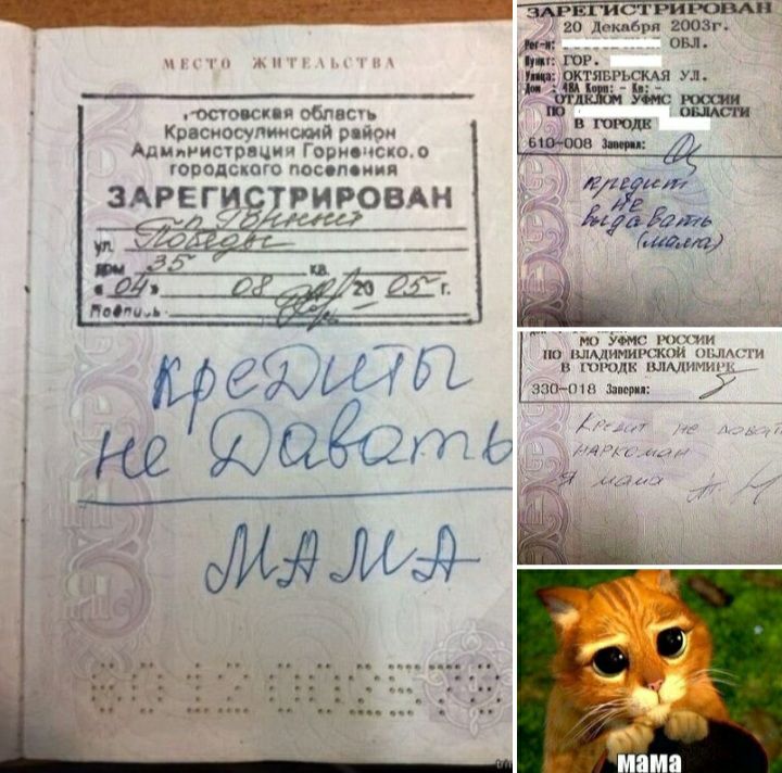 _ АР гистрировди 20 Локлдря 2003г токпи Мшвсч Крэсиосчпиисхмй рпчси АриинисрвчииГвриочспоо ФРОЯСипгппосолсиин ЗАРЕДИСТРИРОВА ііа _ ин вы юг тпщьсщ ул 713 И Ё Кеша т 900 нипи шшцимиьчжии ими и кхн пли шумит пп шт