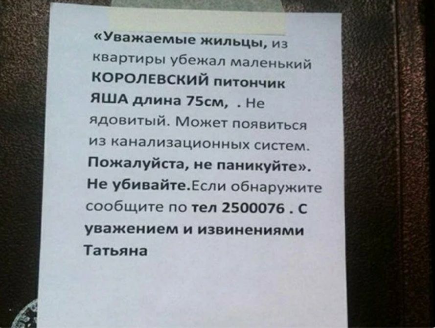 УважаемьюкИЛЬЦЫиз квартиры убежал маленький КОРОЛЕВСКИЙ питончик ЯША длина 75см Не ядовитый Может появиться изканализационныхсистем Пожалуйста не паникуйте Не убивайтеЕли обнаружите сообщитепотел2500076с уважением и извинениями Татьяна