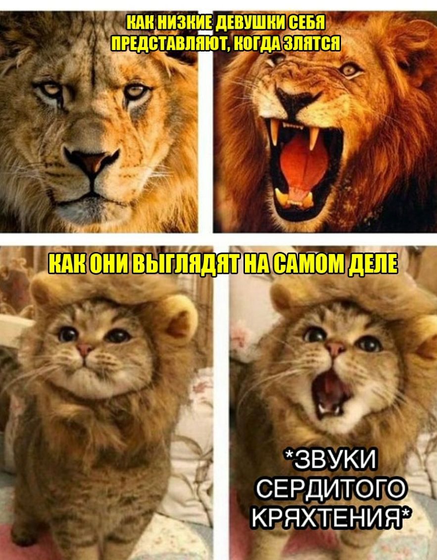 _ 13 Зі ЗВУКИ