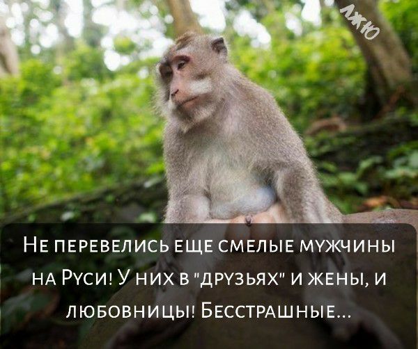 НЕ ПЕРЕВЕЛИСЬ ЕЩЕ СМЕЛЫЕ МУЖЧИНЫ НА РУСИ У НИХ В ДРУЗЬЯХ И ЖЕНЫ И ЛЮБОВНИЦЫ БЕССТРАШНЫЕ
