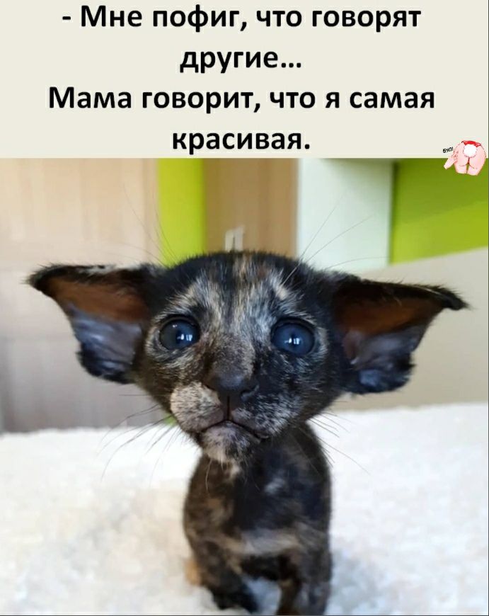Мне пофиг что говорят другие Мама говорит что я самая красивая _