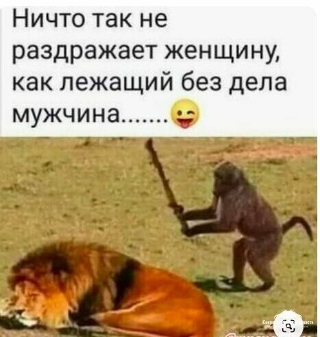 Ничто так не раздражает женщину как лежащий без дела МУЖЧИНЭ