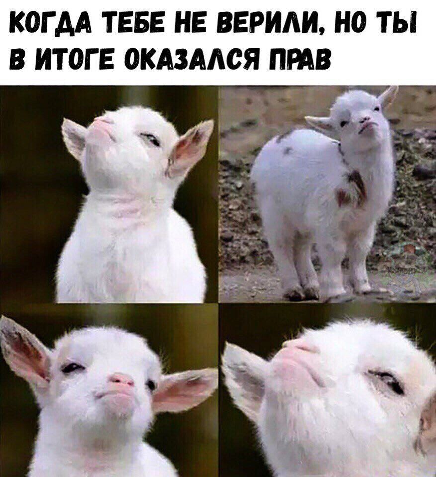 КОГ АА ТЕБЕ НЕ ВЕРИАИ НО ТЫ В ИТОГ Е ОКАЗАЛСЯ ПРАВ