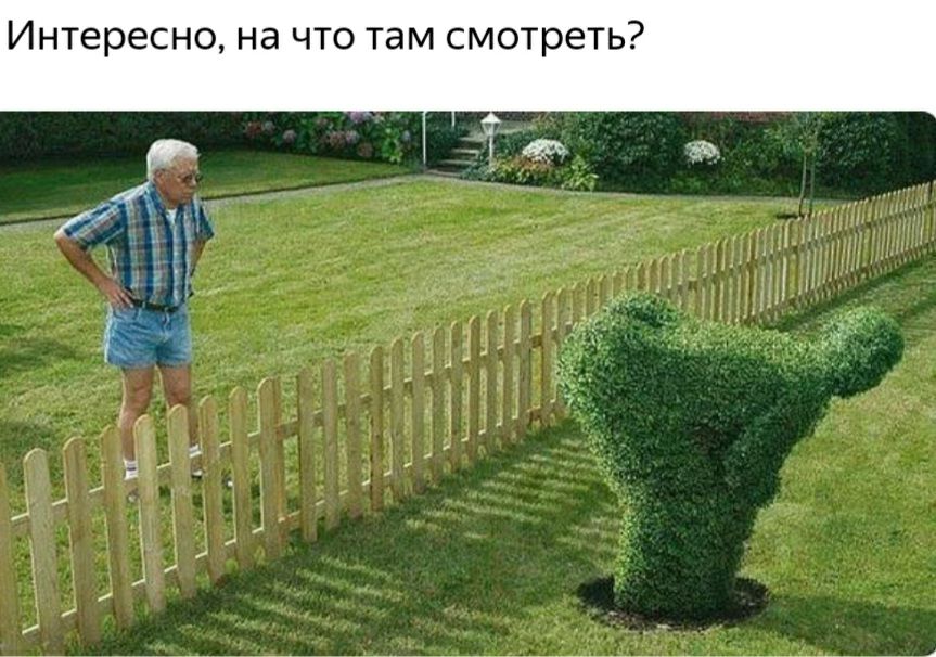 Интересно на что там смотреть