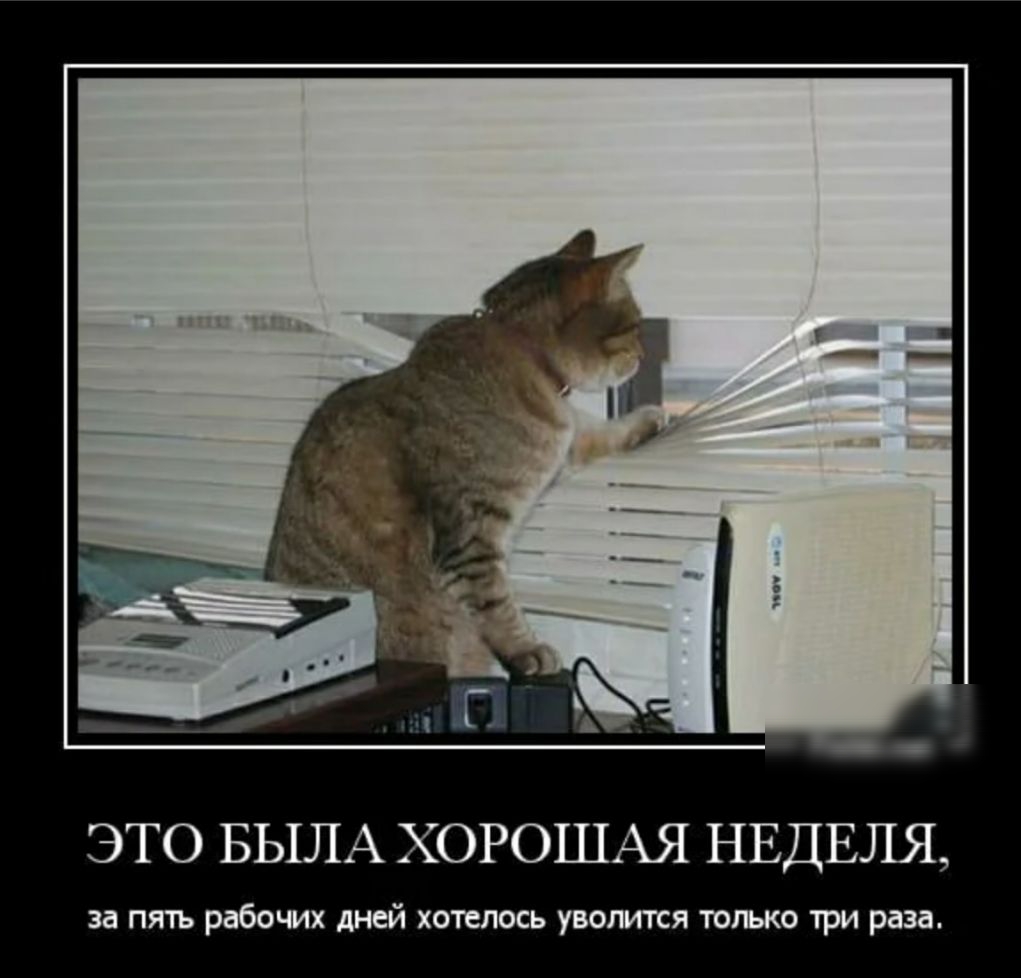 ЭТО БЬША ХОРОШАЯ НЕДЕЛЯ за пять рабочих дней хоп лось уволится только три раза