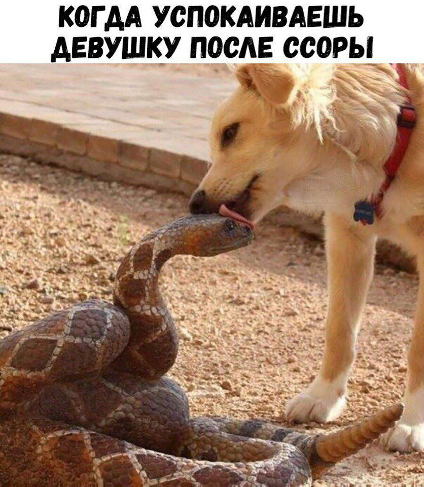 когдА успомивдвшь девушку посл ссоры___