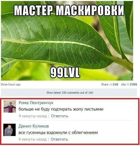 ьнтее н ачп знете эти 25 шп пттепё пт шп Рома Пентринчук больше не буду подтирать жопу листьями 4 минуты назад Ответить Данил Купиквв все гусеницы вздохнули с облегчением 4 минуты назад Ответить ш 21515