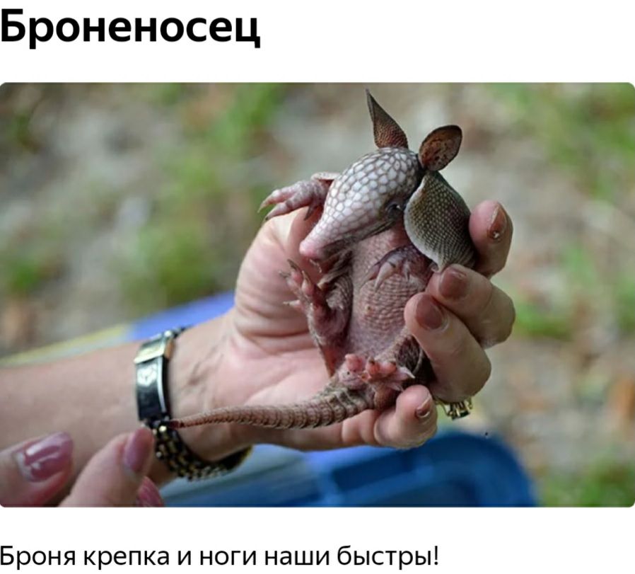 а _ Броня крепка и ноги наши быстры