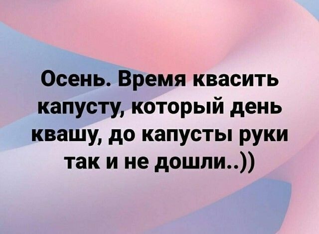 Осень Время квасить капусту который день квашу до капусты руки так и не дошли