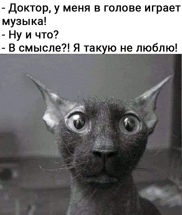 Доктор у меня в голове играет музыка Ну и что В смысле Я так ю не люблю