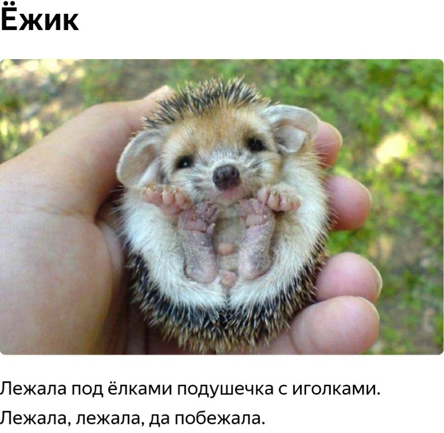 ежала ПОД ёПКдМИ подушечка С ИГОПКЭМИ ежала лежала да побежала