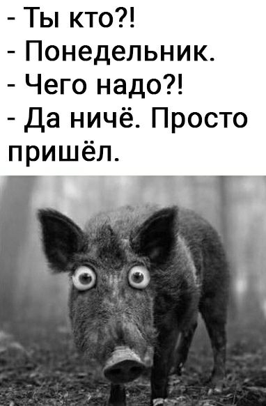 Ты кто Понедельник Чего надо Да ничё Просто пришёл