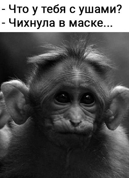 _ Что У тебя С Ушами _ ЧихНУла В маске щи щ _ я не нг 3