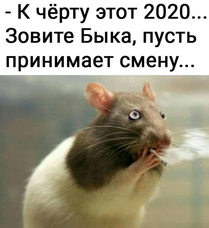К чёрту этот 2020 Зовите Быка пусть принимает смену