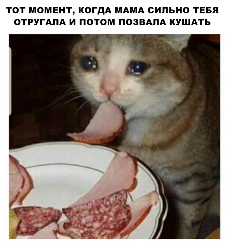 ТОТ МОМЕНТ КОГДА МАМА СИЛЬНО ТЕБЯ ОТРУГАПА И ПОТОМ ПОЗВАЛА КУШАТЬ