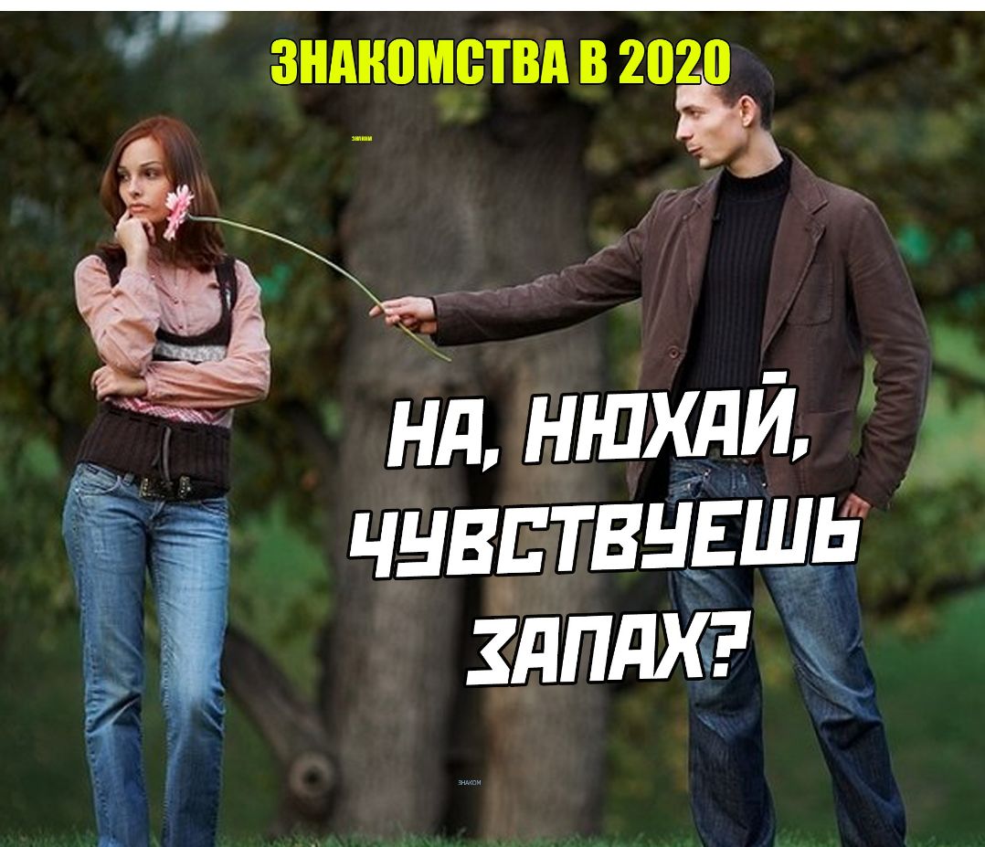 ЗНМЮМВТВД В 2020 _
