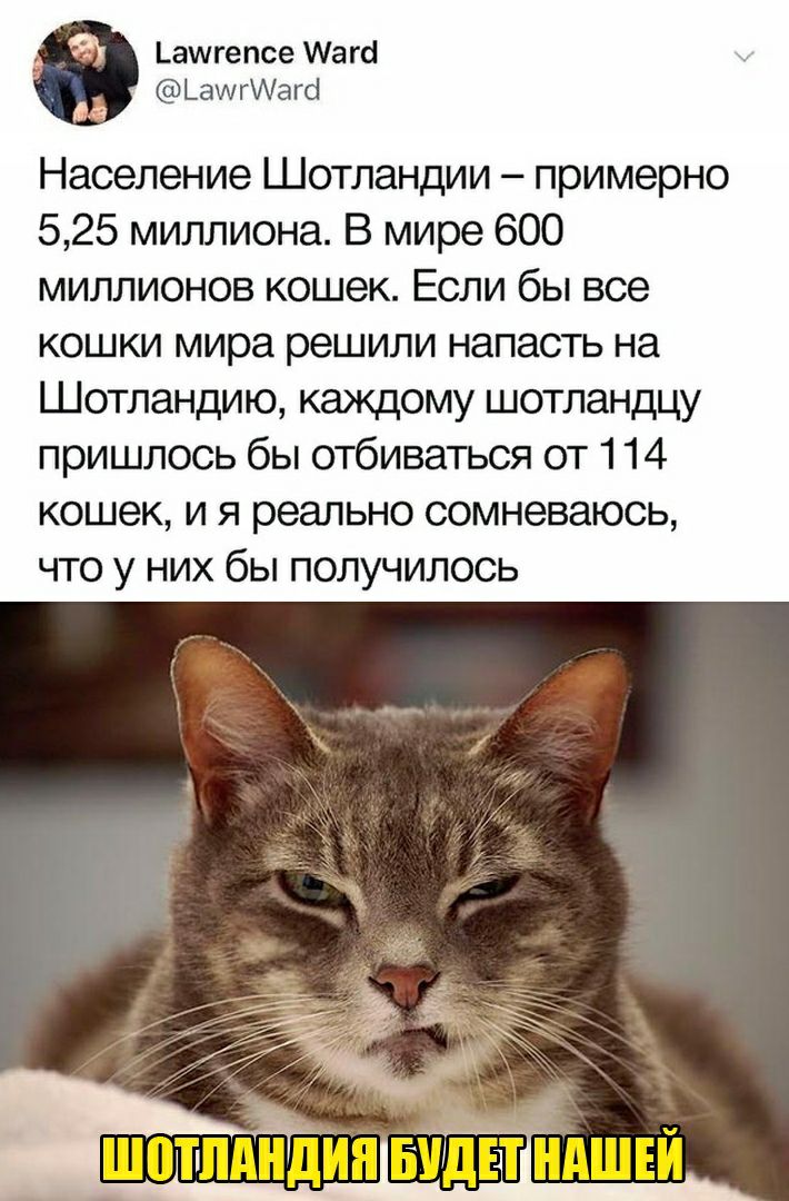 аи1гепсе Аагсі ЬаигИагс Население Шотландии примерно 525 миллиона В мире 600 миллионов кошек Если бы все кошки мира решили напасть на Шотландию каждому шотландцу пришлось бы отбиваться от 114 кошек и я реально сомневаюсь что у них бы получилось
