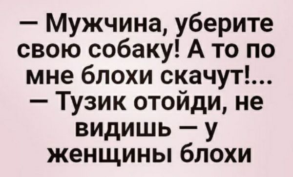 Мужчина уберите свою собаку А то по мне блохи скачут Тузик отойди не видишь у женщины блохи