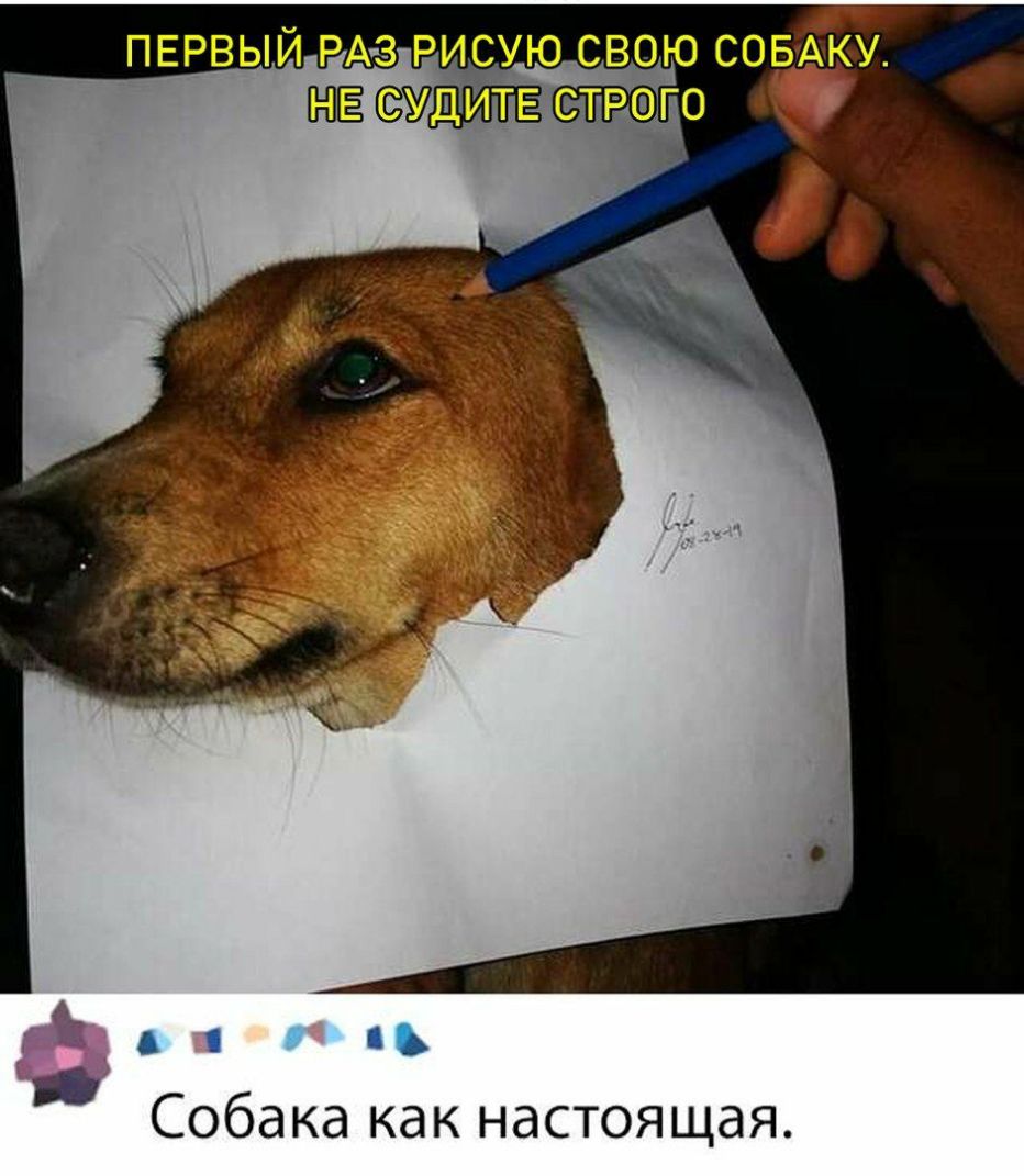 А ьі Собака как настоящая