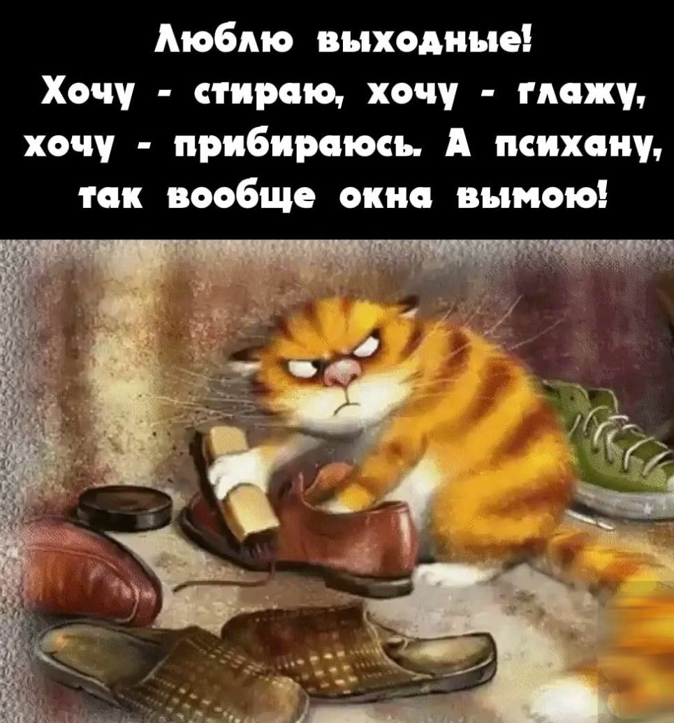 Мобмо выходные Хочу стираю хочу можу хочу прибироюсь А психопу так вообще окно вымою