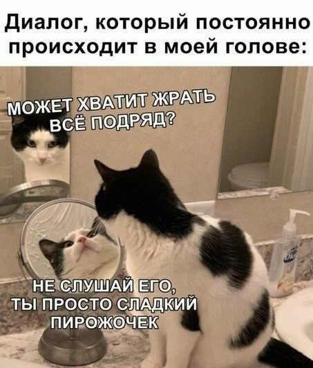 Диалог который постоянно происходит в моей голове может ХВАТИТ ЖРАТЬ _всё ПОДРЯД эіе НЕ тицЁАй Е ты просто оп _ пивэжачвк