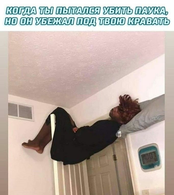 кагдА ггш пытдлвя Ю УБЕЖАЛ твою КРАВАШЬ