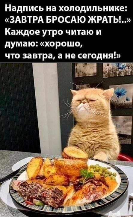 Надпись на холодильнике ЗАВТРА БРОСАЮ ЖРАТЬ Каждое утро читаю и думаю хорошо что завтра а не сегодня