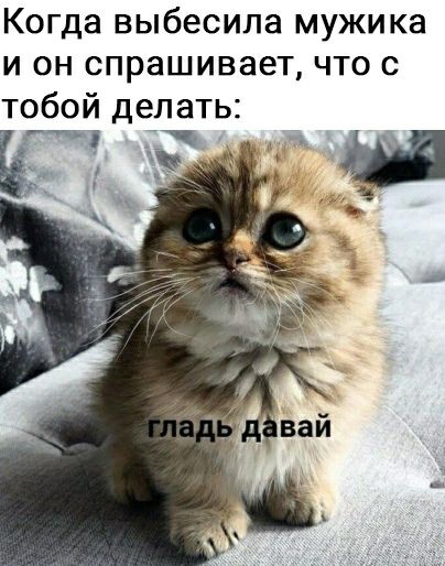 Когда выбесила мужика и он спрашивает что с тобой делать
