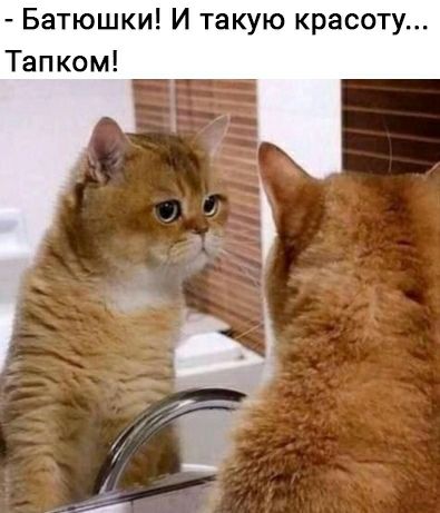 Батюшки И такую красоту