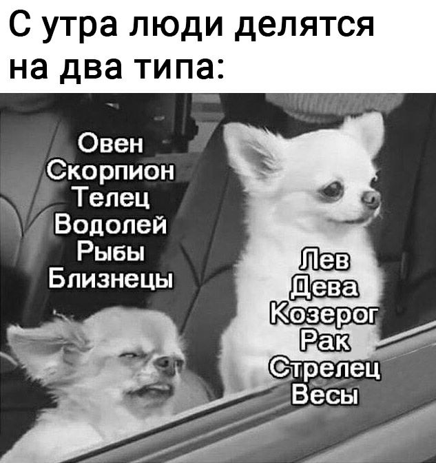 С утра люди делятся на два типа Овен Скорпион Тепец ы Водолей Рыбы Близнецы