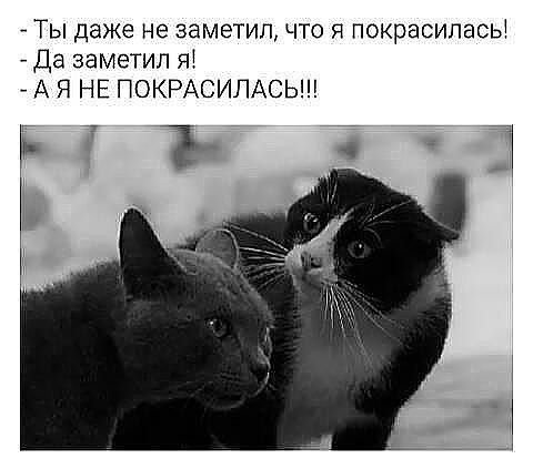 Ты даже не заметил что я покрасилась дд заметил я А Я НЕ ПОКРАСИЛАСЬ