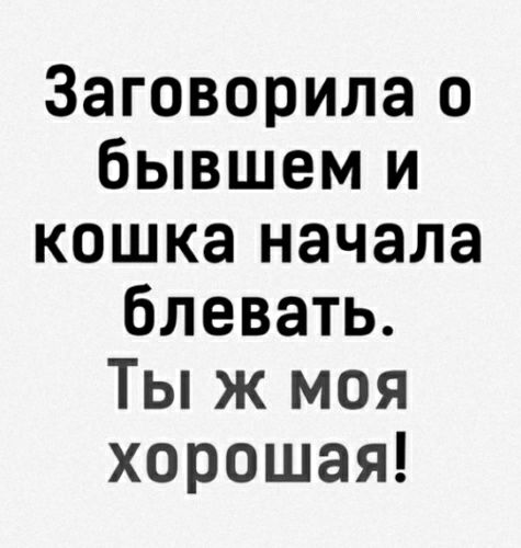 Заговорила о бывшем и кошка начала блевать Ты ж моя хорошая