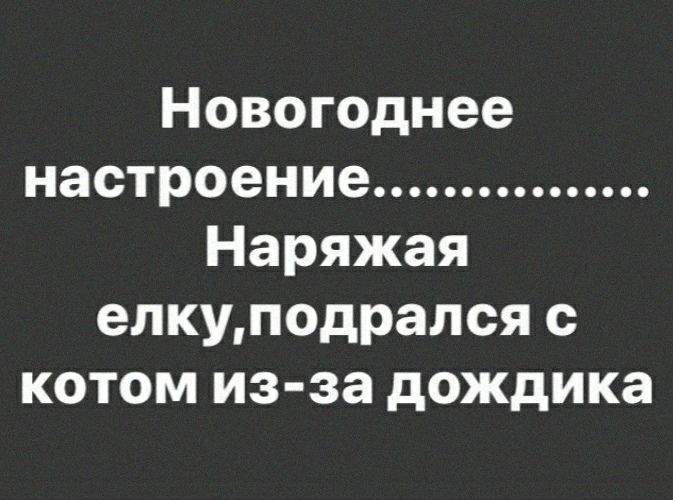 Новогоднее настроение Наряжая елкуподрался с котом из за дождика