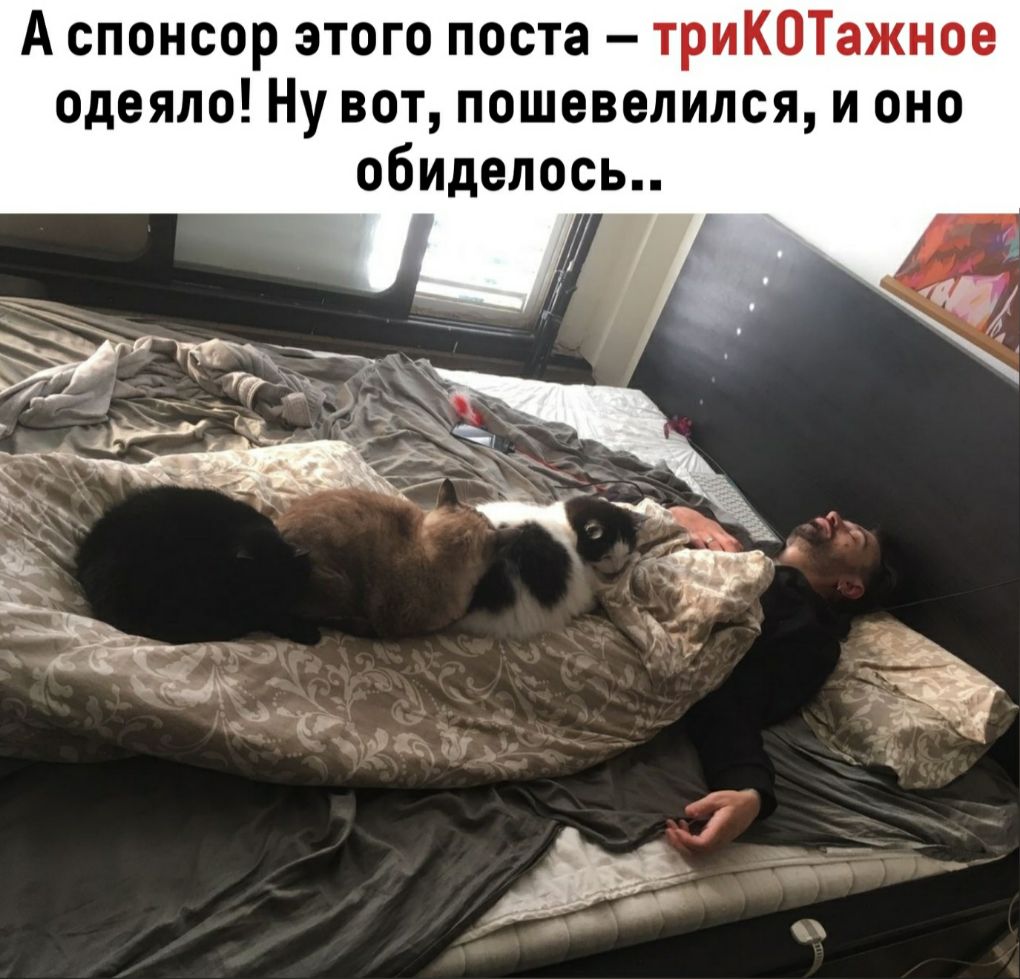 А спонсор этого поста триКОТажное одеяло Ну вот пошевелился и оно обиделось