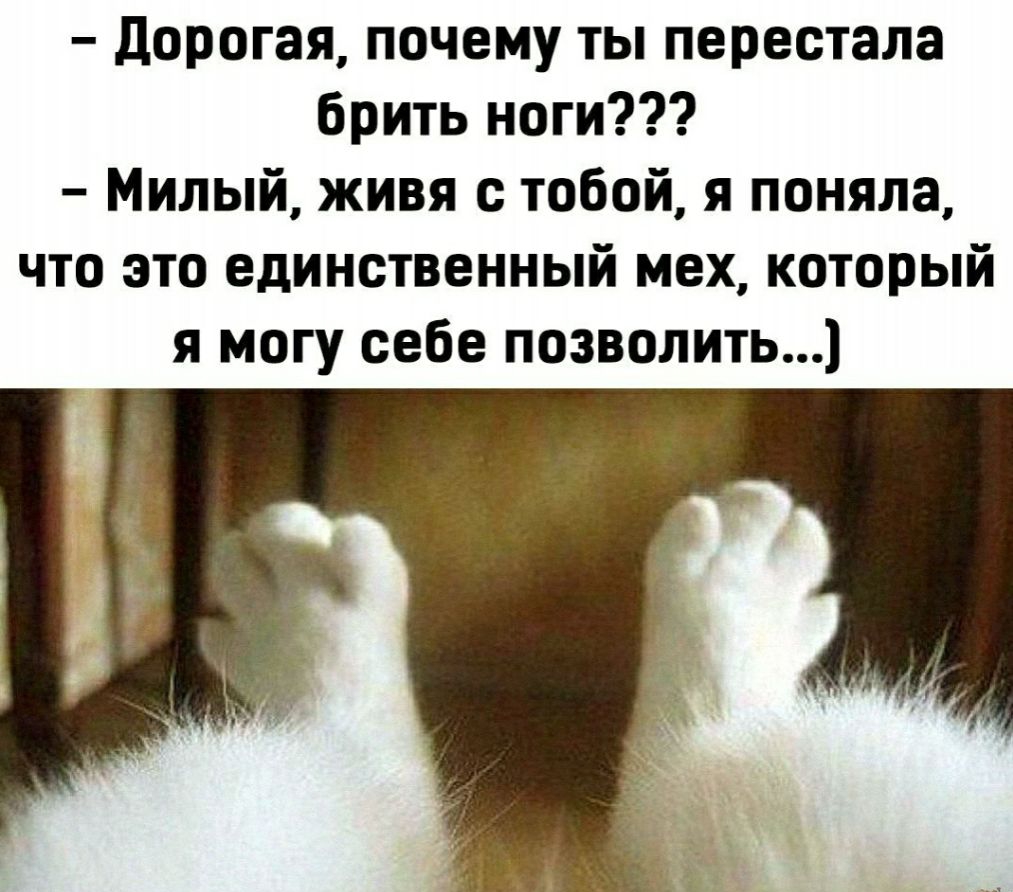 дорогая почему ты перестала брить ноги Милый живя с тобой я поняла что это единственный мех который я могу себе позволить