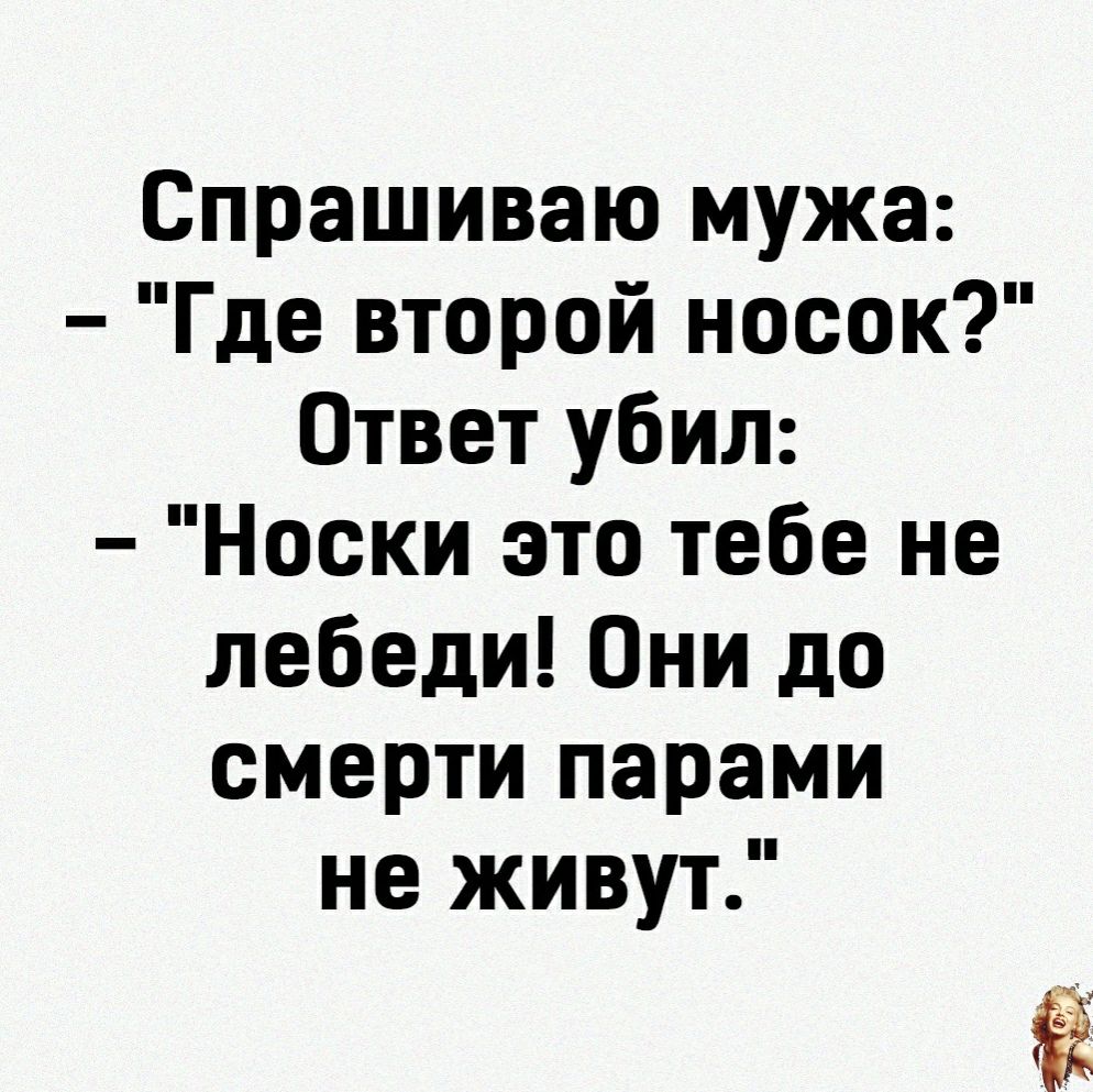 Спрашиваю мужа Где второй носок Ответ убил Носки это тебе не лебеди Они до смерти парами не живут