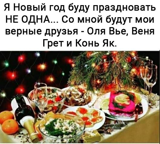 Я Новый год буду праздновать НЕ ОДНА Со мной будут мои верные друзья Оля Вье Веня