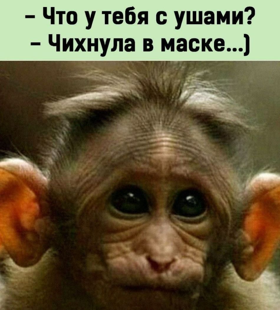 Что у тебя с ушами Чихнула в маске