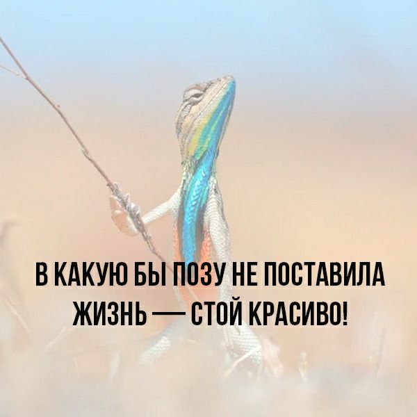 В КАКУЮ БЫ ЗУ НЕ ППВТАВИЛА ЖИЗНЬ ВТПЙ КРАВИВП