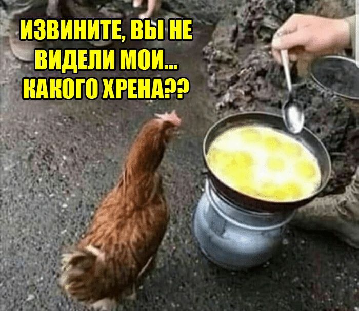 тизвинитв вЁгнЕ д видши мои _