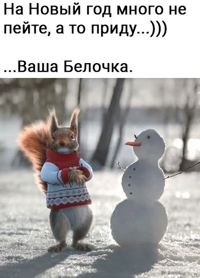 На Новый год много не пейте а то приду Ваша Белочка