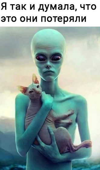 Я так и думала что это они потеряли