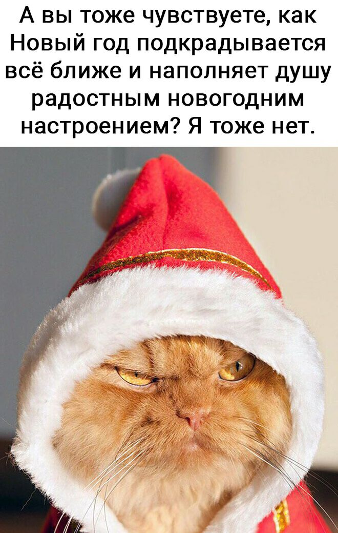 А вы тоже чувствуете как Новый год подкрадывается всё ближе и наполняет душу радостным новогодним настроением Я тоже нет