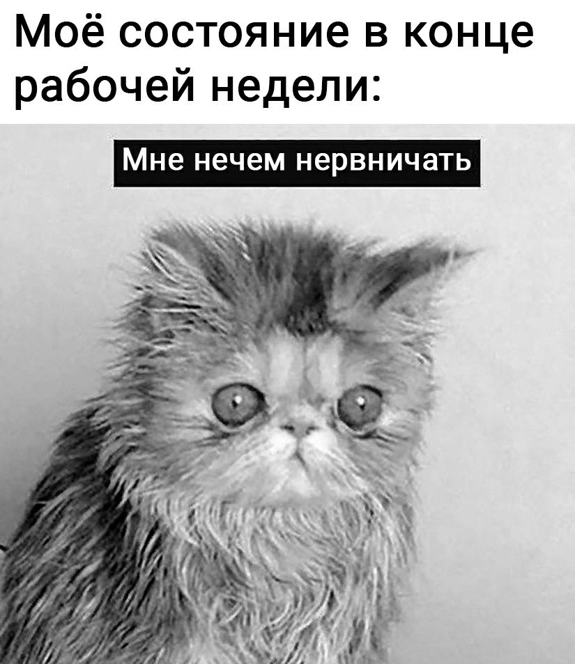 Моё состояние в конце рабочей недели Мне нечем НЭРВНИЧЭТЬ