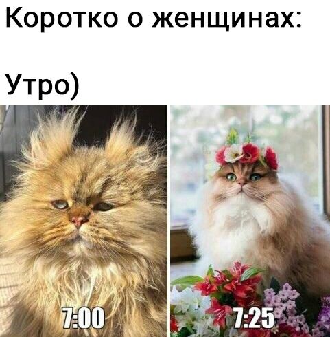 КОРОТКО О женщинах